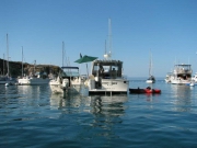 Days Catalina Pics 2005 036.jpg: 2005/08/01 - Day's Catalina Pics - 2005